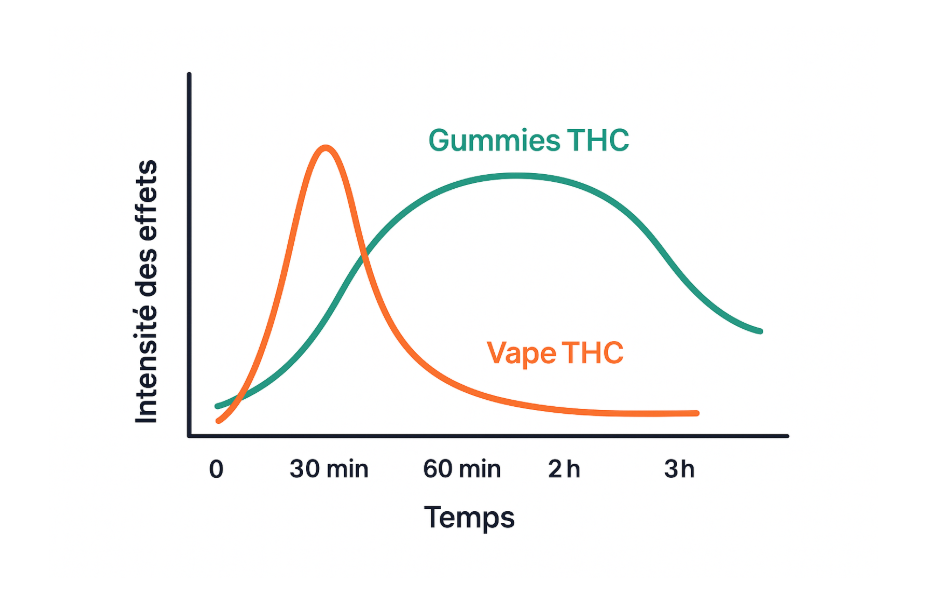 Courbe de montée des effets des gummies THC